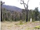 97A Murchison Street, Marysville VIC 3779