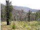 97A Murchison Street, Marysville VIC 3779