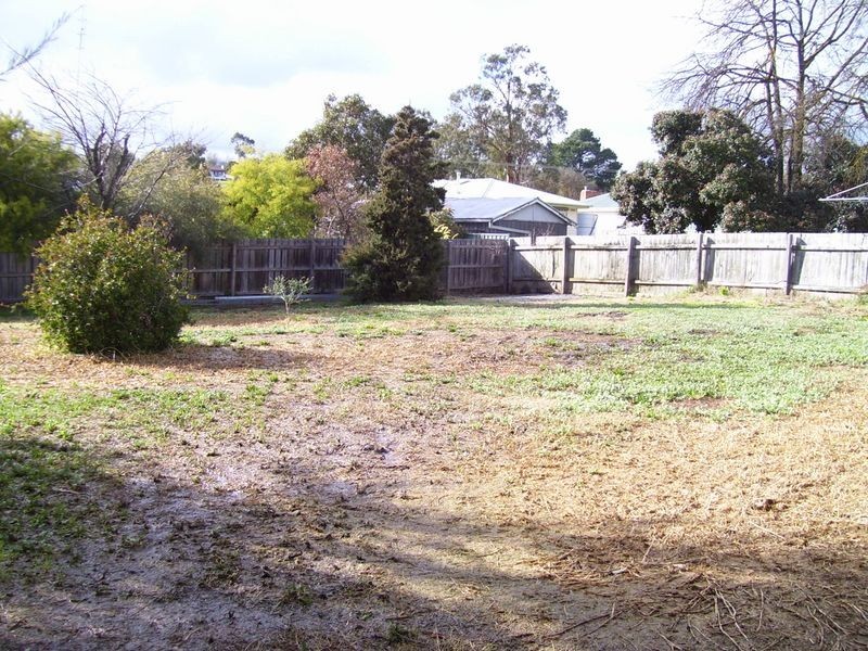 91 Bayley Street, Alexandra VIC 3714