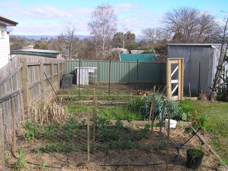 46 Cooper Street, Alexandra VIC 3714