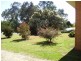 84 Cooper Street, Alexandra VIC 3714