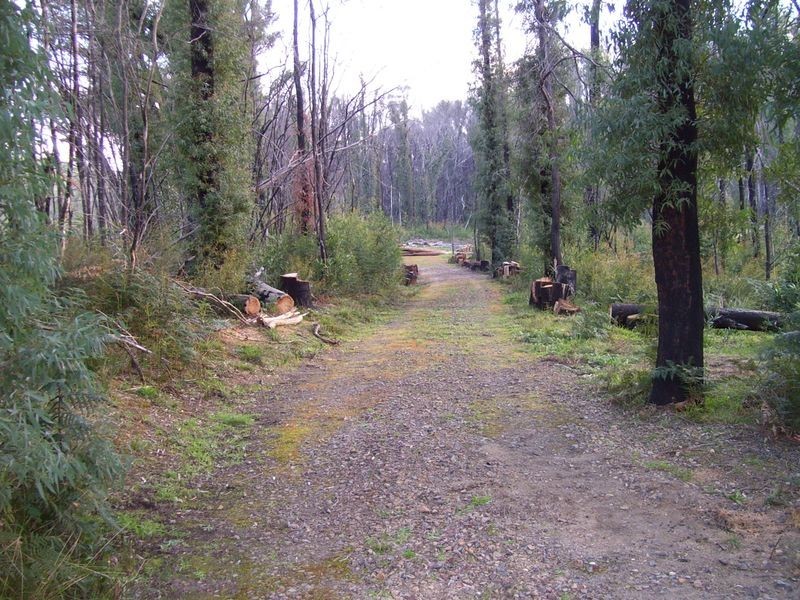 32 Williams Lane, Buxton VIC 3711