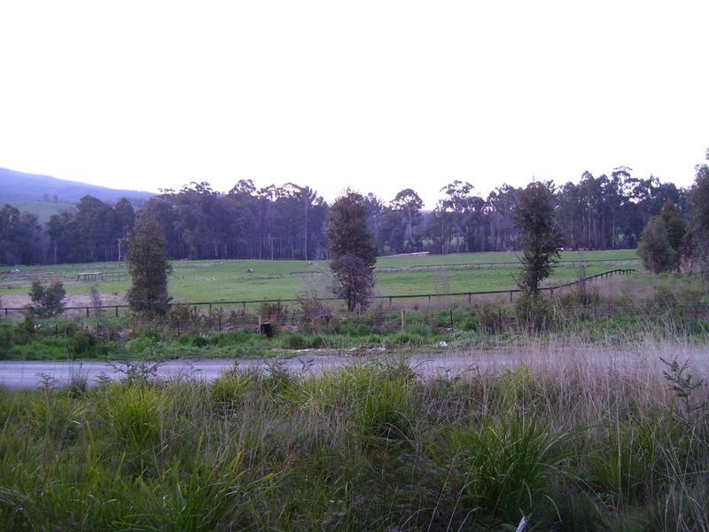 32 Williams Lane, Buxton VIC 3711