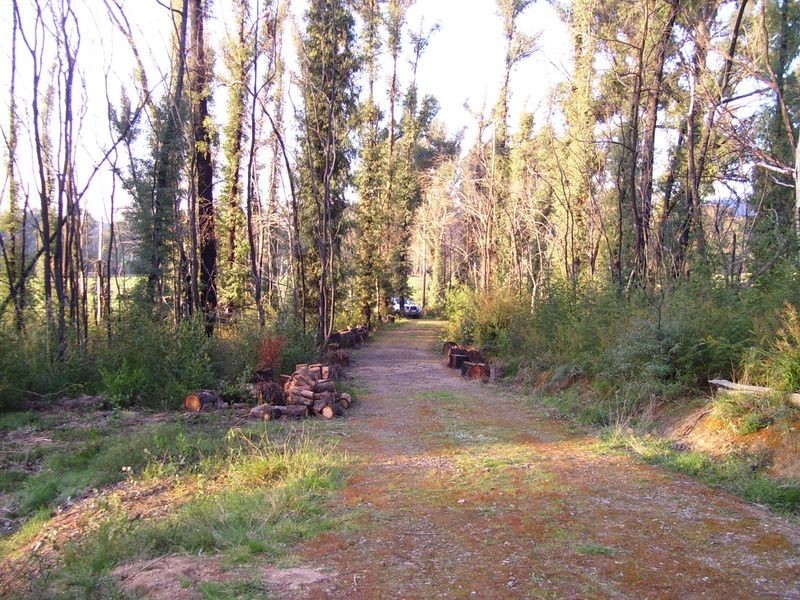 32 Williams Lane, Buxton VIC 3711