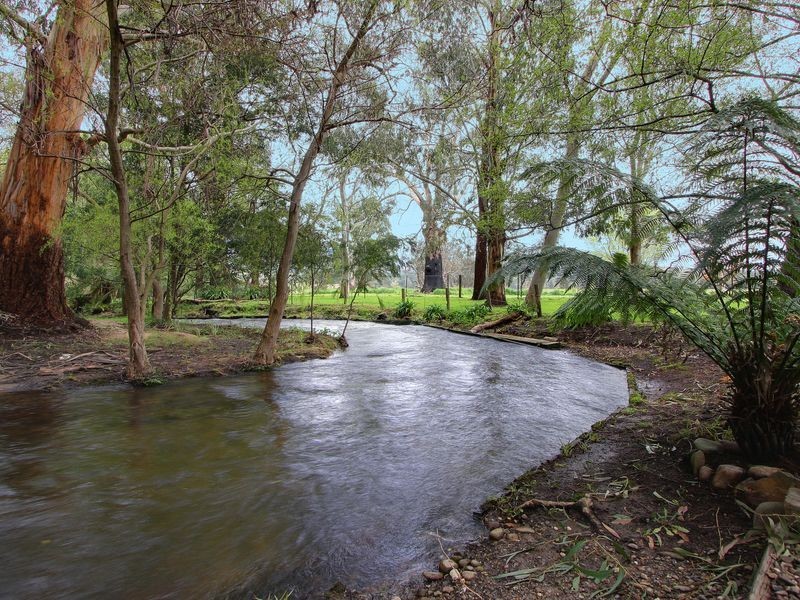 7 Mareeba Avenue, Buxton VIC 3711