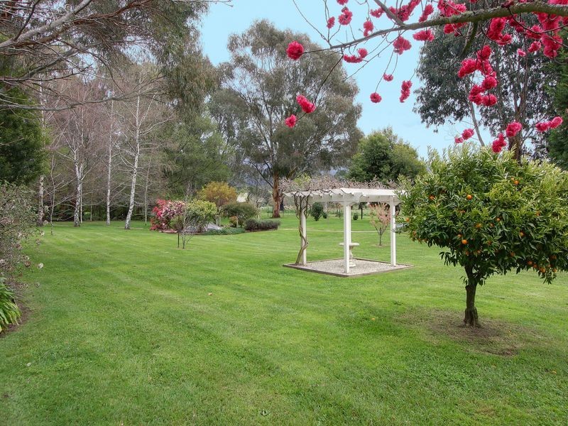 7 Mareeba Avenue, Buxton VIC 3711