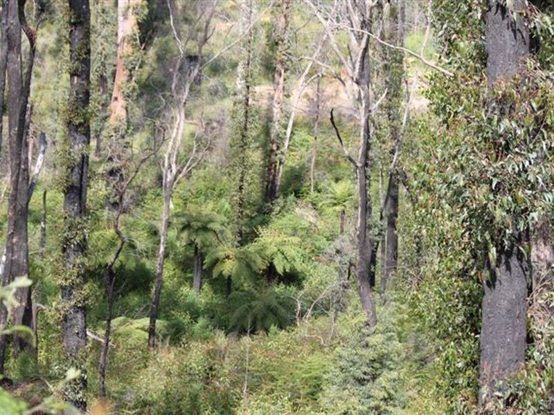 140 Granite Park Place, Buxton VIC 3711