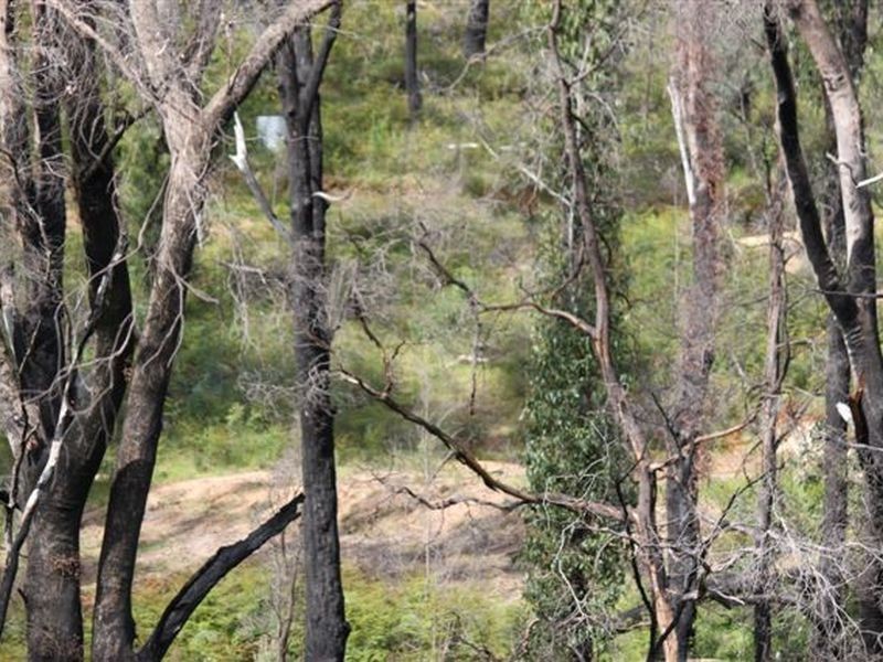 140 Granite Park Place, Buxton VIC 3711