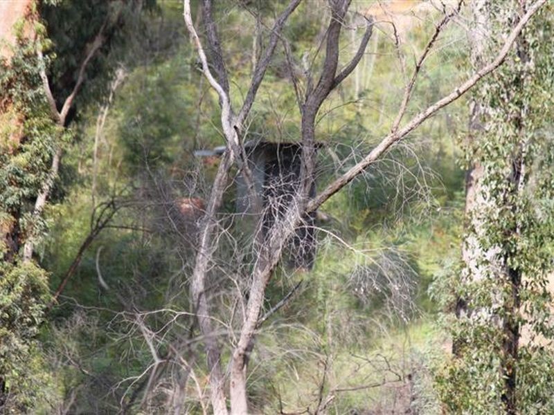 140 Granite Park Place, Buxton VIC 3711