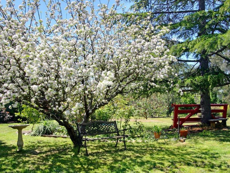 76 Nihil Street, Alexandra VIC 3714