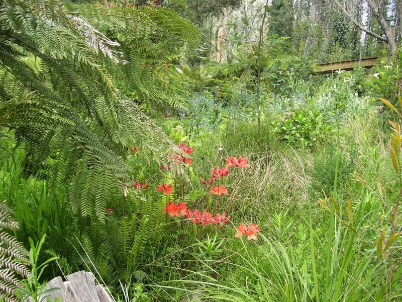 55 Falls Road, Marysville VIC 3779