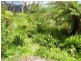 55 Falls Road, Marysville VIC 3779