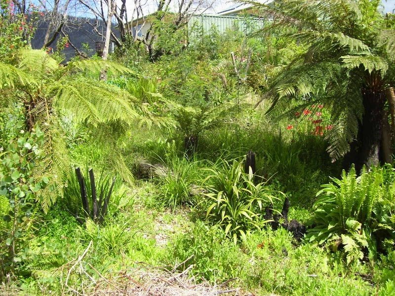 55 Falls Road, Marysville VIC 3779