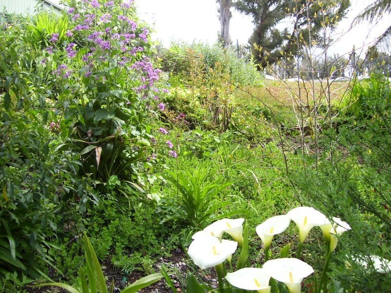 55 Falls Road, Marysville VIC 3779