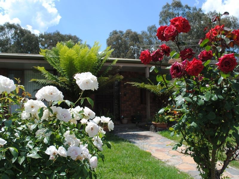 14 Savage Court, Eildon VIC 3713