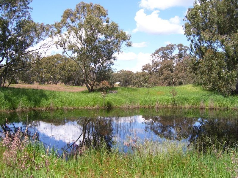 905 Gobor Road, Yarck VIC 3719