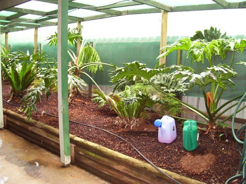 34 Rose Street, Alexandra VIC 3714