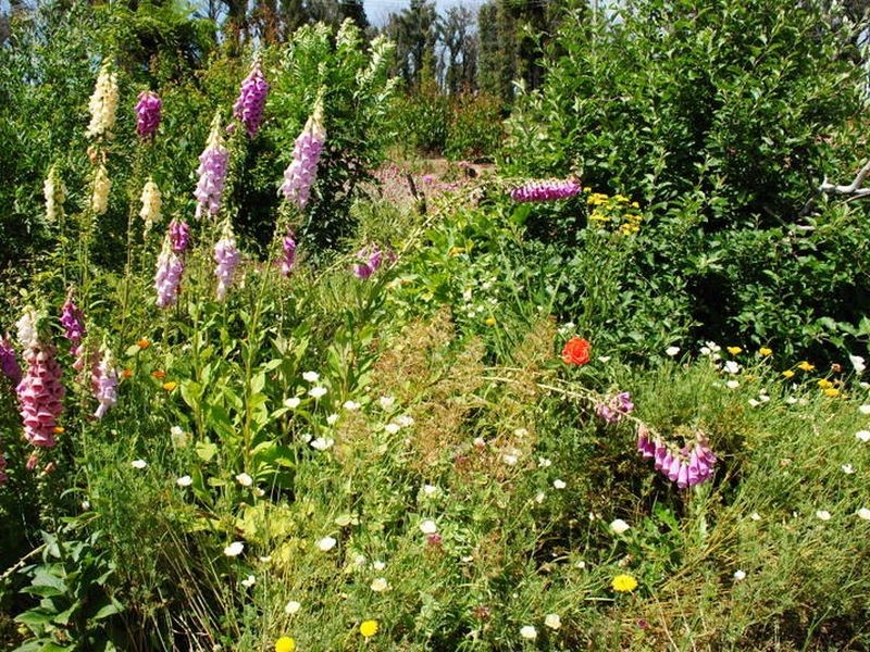 34 Allison Crescent, Marysville VIC 3779