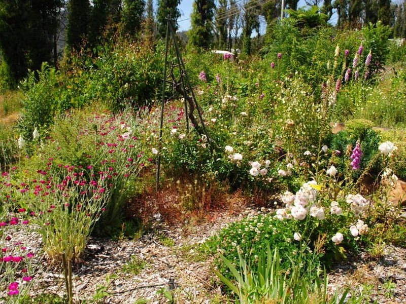 34 Allison Crescent, Marysville VIC 3779