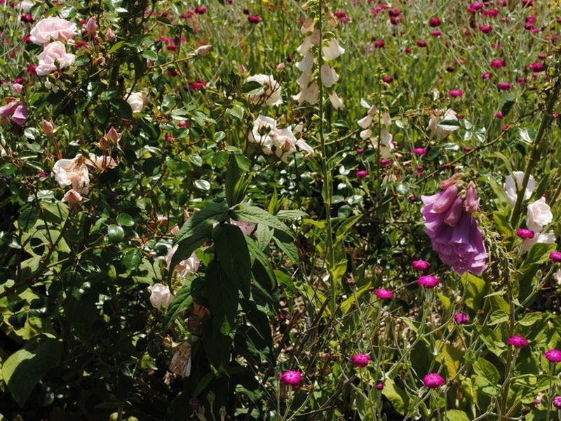 34 Allison Crescent, Marysville VIC 3779