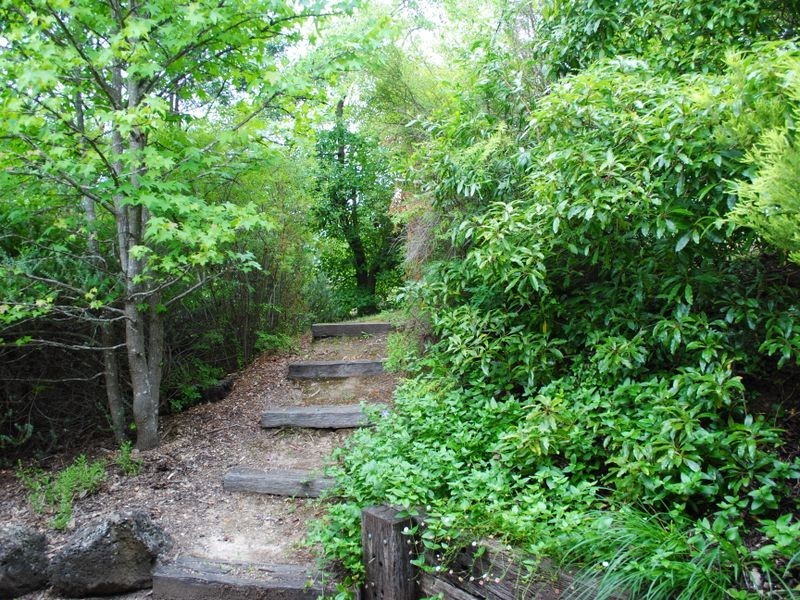 26 Centre Avenue, Eildon VIC 3713