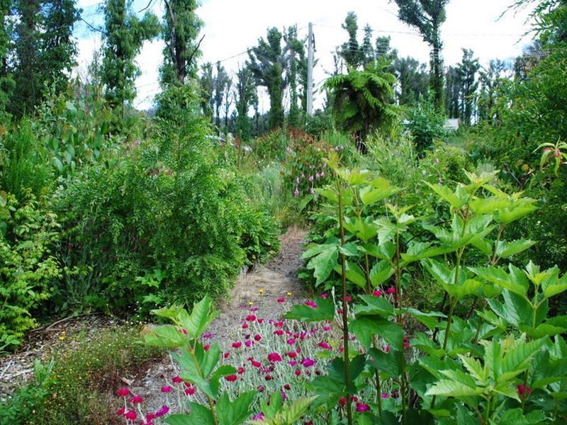 34 Allison Crescent, Marysville VIC 3779