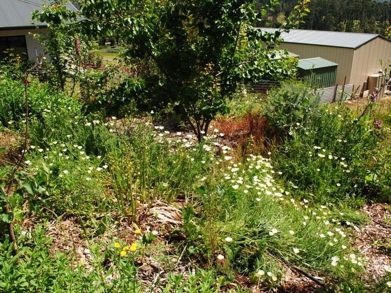 34 Allison Crescent, Marysville VIC 3779