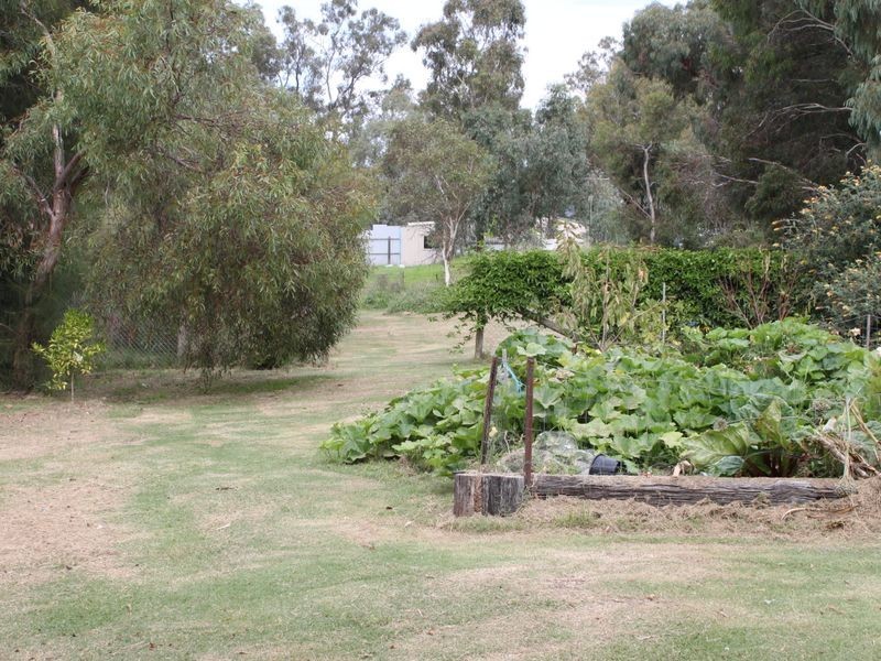 24 Downey Street, Alexandra VIC 3714