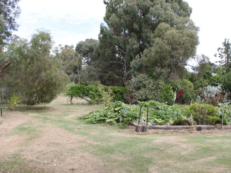 24 Downey Street, Alexandra VIC 3714