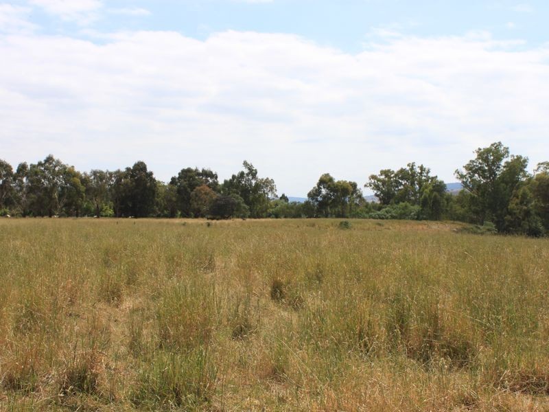 20 Brooks Cutting, Alexandra VIC 3714