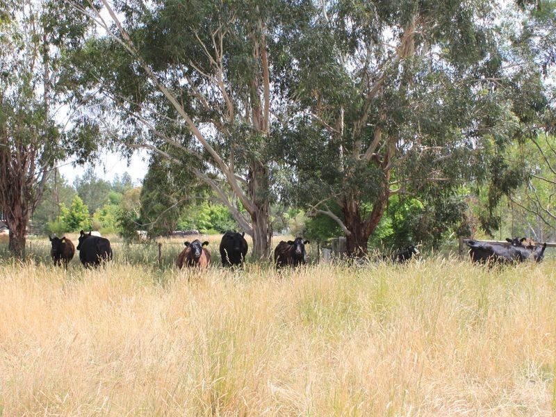 20 Brooks Cutting, Alexandra VIC 3714