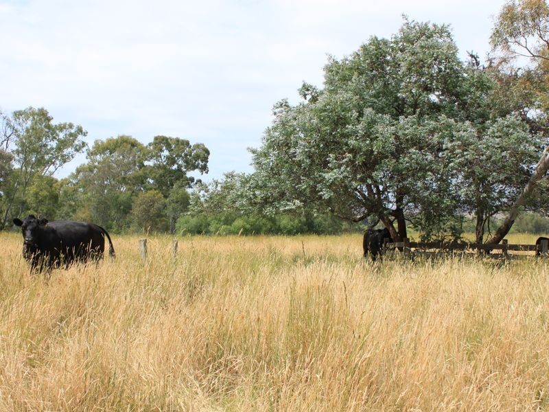 20 Brooks Cutting, Alexandra VIC 3714