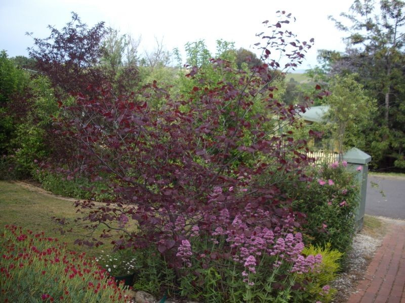 27-29 Villeneuve Street, Alexandra VIC 3714