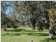 14 Tuohy Court, Eildon VIC 3713