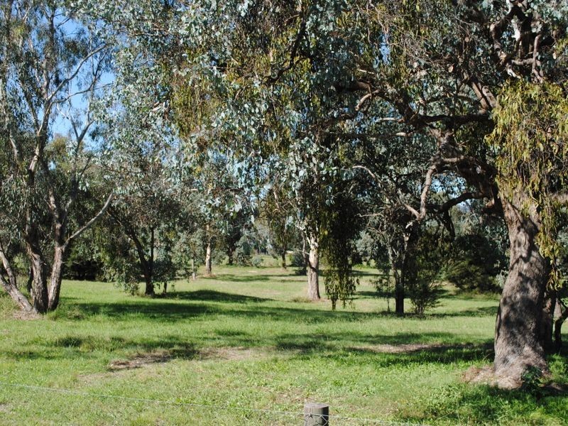 14 Tuohy Court, Eildon VIC 3713