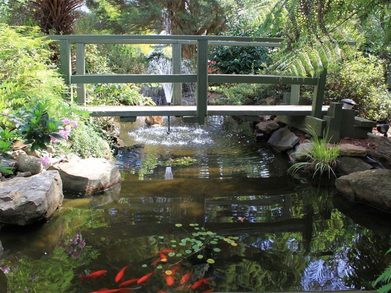 12 Mareeba Avenue, Buxton VIC 3711