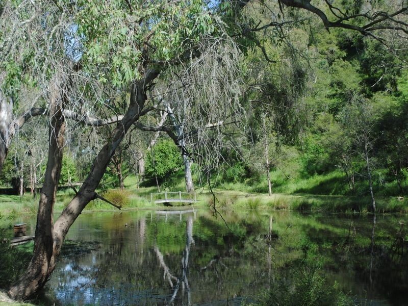 899 Back Eildon Road, Eildon VIC 3713