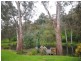 899 Back Eildon Road, Eildon VIC 3713