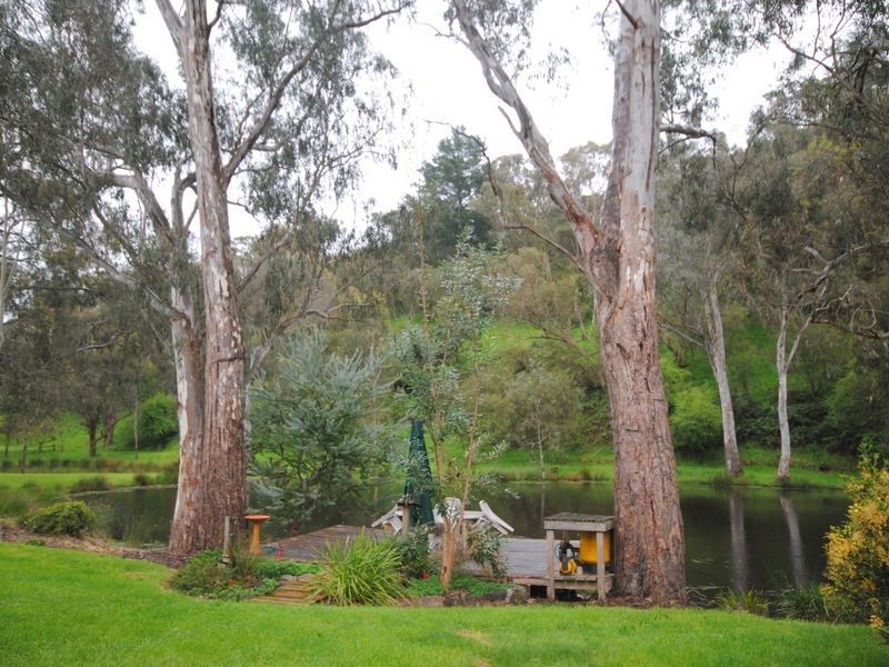 899 Back Eildon Road, Eildon VIC 3713