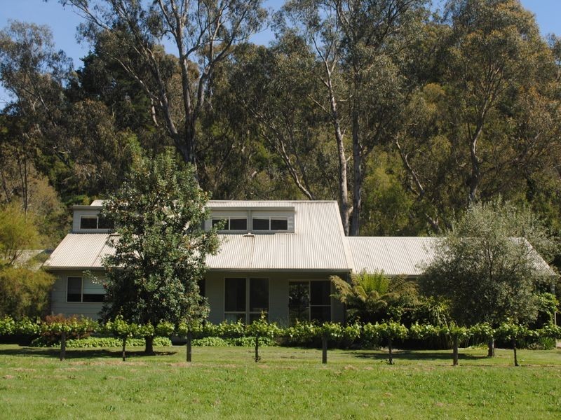 899 Back Eildon Road, Eildon VIC 3713