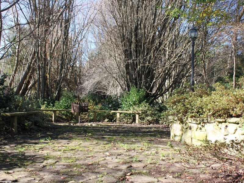 29 Mareeba Avenue, Buxton VIC 3711