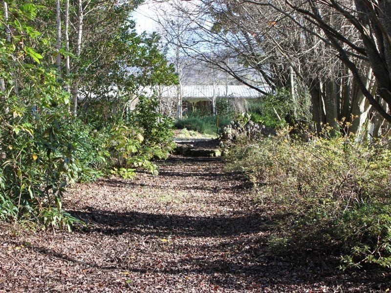 29 Mareeba Avenue, Buxton VIC 3711