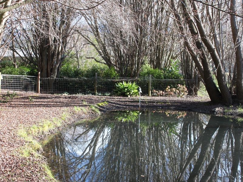 29 Mareeba Avenue, Buxton VIC 3711