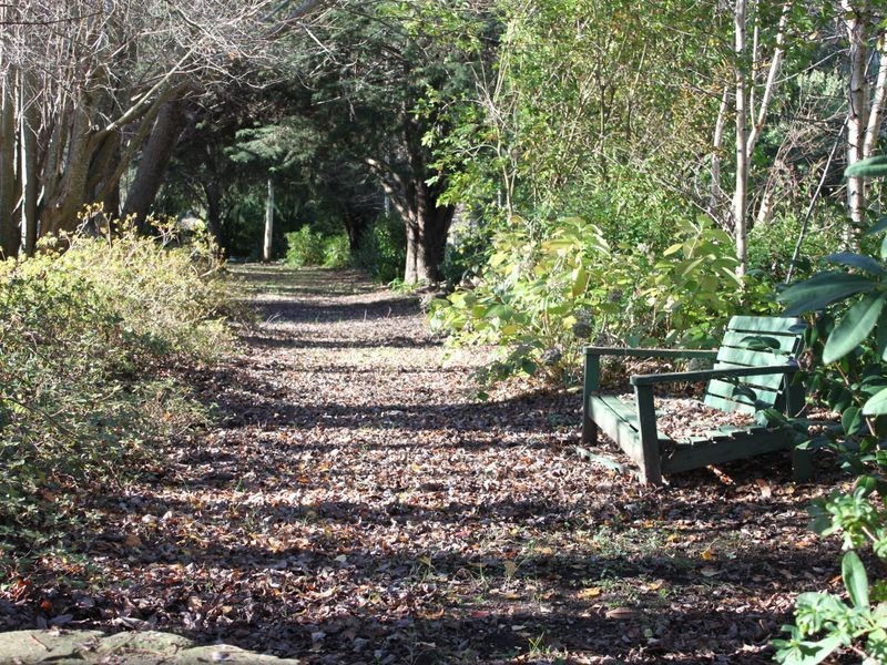 29 Mareeba Avenue, Buxton VIC 3711