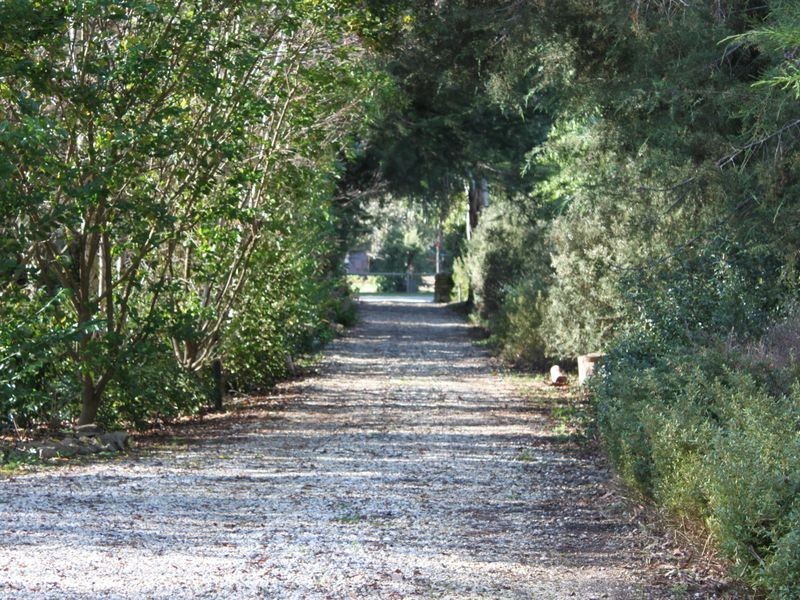 29 Mareeba Avenue, Buxton VIC 3711