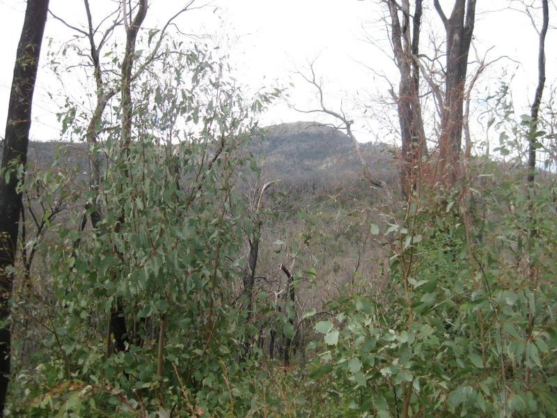 416 South Cathedral Lane, Buxton VIC 3711