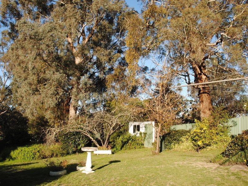 17 Myrtle Street, Alexandra VIC 3714