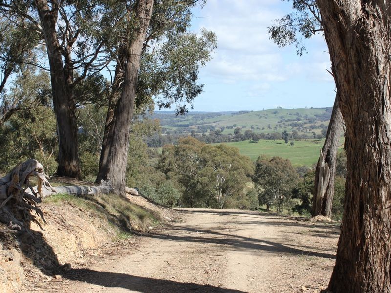 86 Shorts Road, Merton VIC 3715