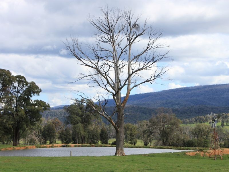 42 South Cathedral Lane, Buxton VIC 3711