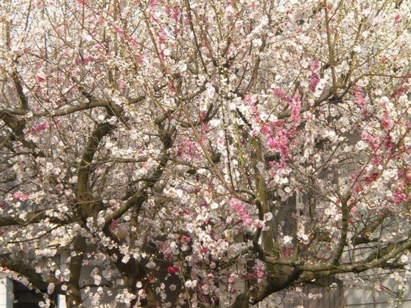 42 South Cathedral Lane, Buxton VIC 3711